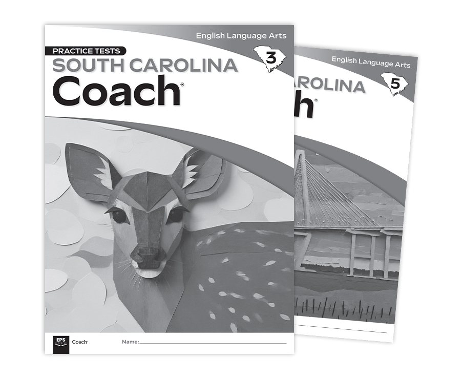south-carolina-coach-ela-pt south-carolina-coach-ela-pt