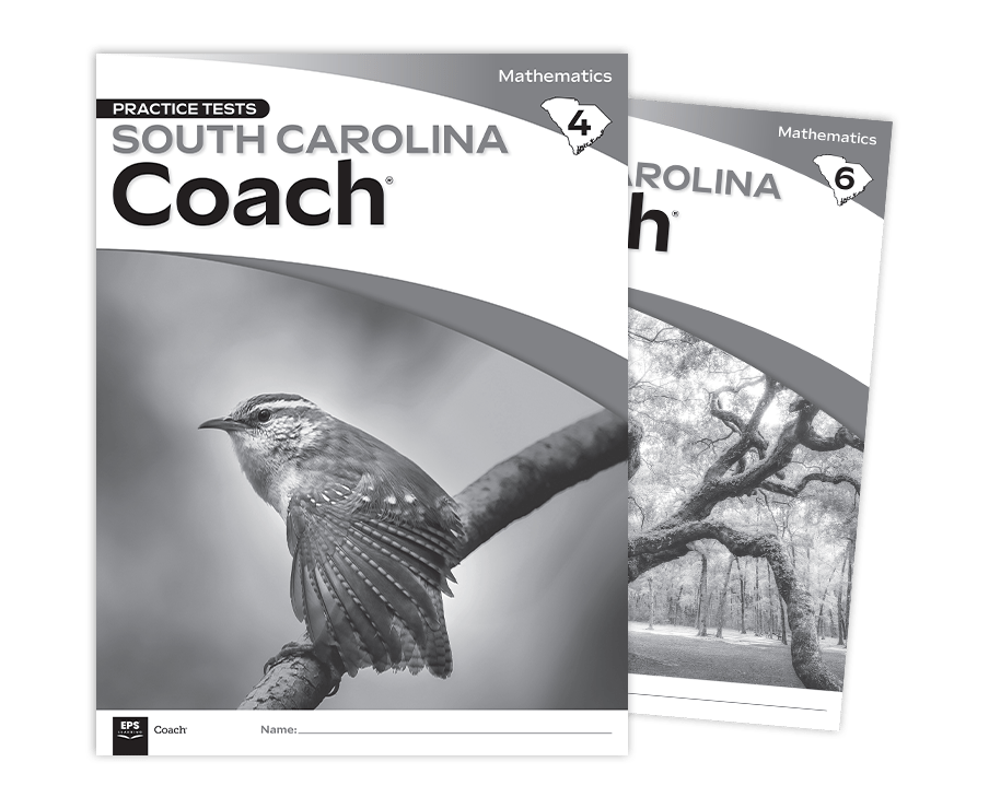 south-carolina-coach-math-pt south-carolina-coach-math-pt